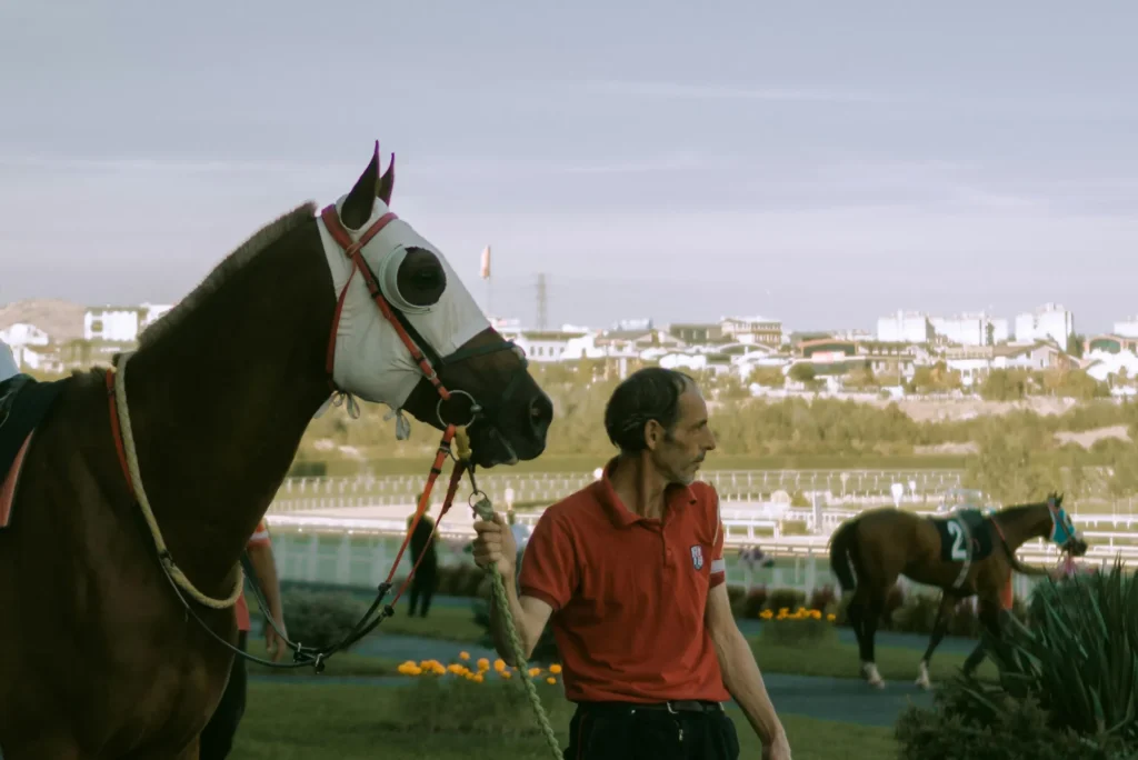 What Is Fixed Odds Horse Racing Betting?